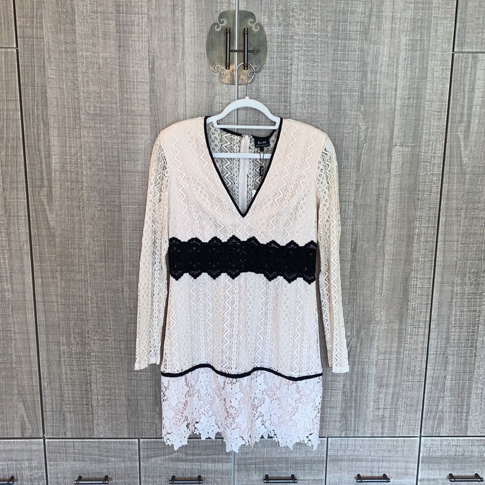 Bardot Bella Lace Dress in Limestone - Picture 6 of 12